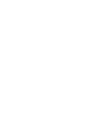 github-icon